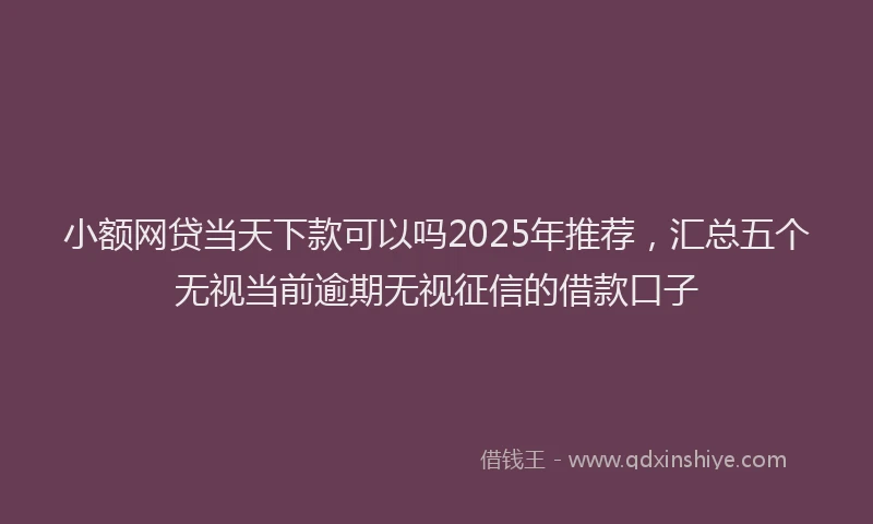 小额网贷当天下款可以吗2025年推荐，汇总五个无视当前逾期无视征信的借款口子