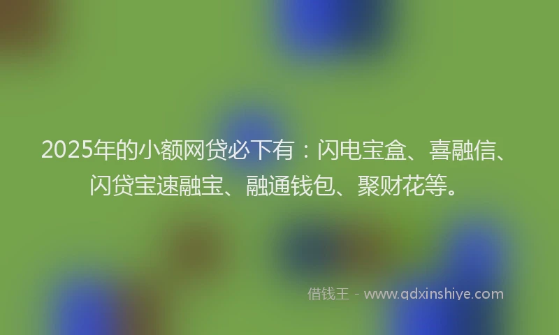2025年的小额网贷必下有：闪电宝盒、喜融信、闪贷宝速融宝、融通钱包、聚财花等。