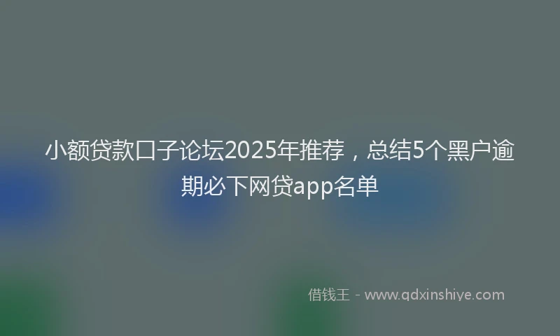 小额贷款口子论坛2025年推荐，总结5个黑户逾期必下网贷app名单