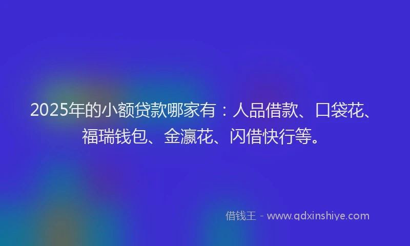 2025年的小额贷款哪家有：人品借款、口袋花、福瑞钱包、金瀛花、闪借快行等。