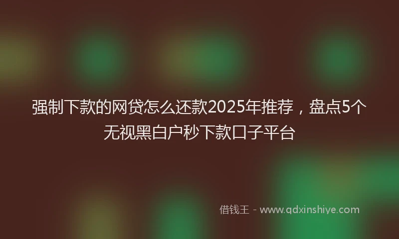 强制下款的网贷怎么还款2025年推荐，盘点5个无视黑白户秒下款口子平台