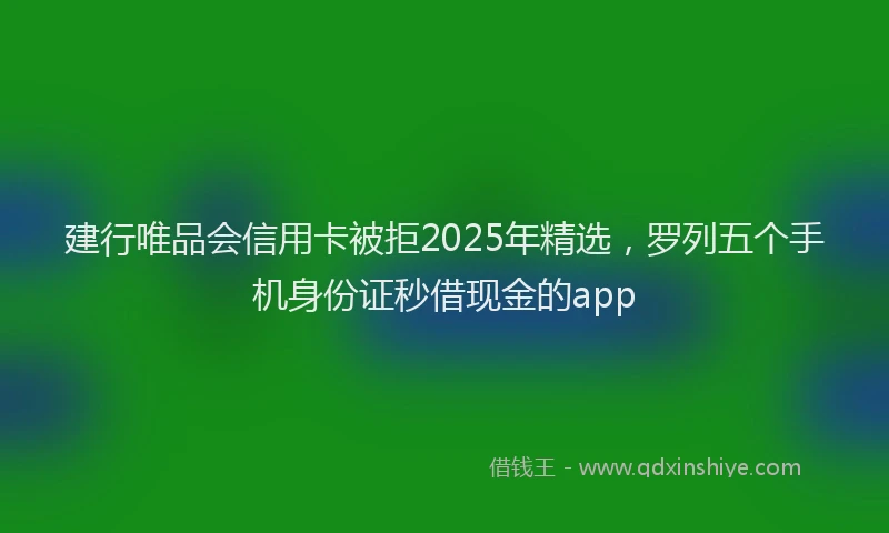 建行唯品会信用卡被拒2025年精选，罗列五个手机身份证秒借现金的app