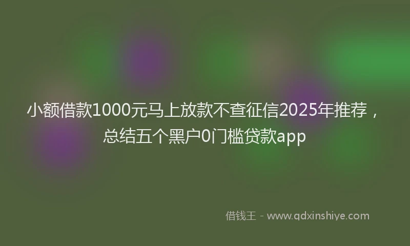 小额借款1000元马上放款不查征信2025年推荐，总结五个黑户0门槛贷款app