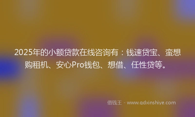 2025年的小额贷款在线咨询有：钱速贷宝、蛮想购租机、安心Pro钱包、想借、任性贷等。