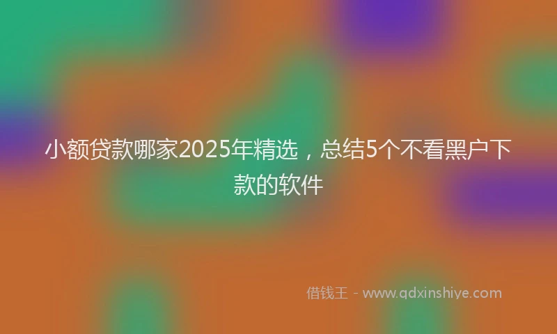 小额贷款哪家2025年精选，总结5个不看黑户下款的软件