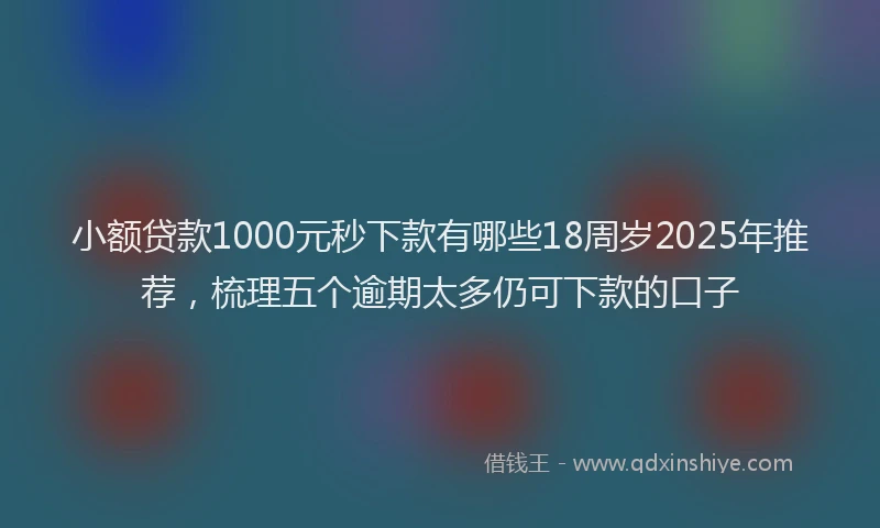小额贷款1000元秒下款有哪些18周岁2025年推荐，梳理五个逾期太多仍可下款的口子