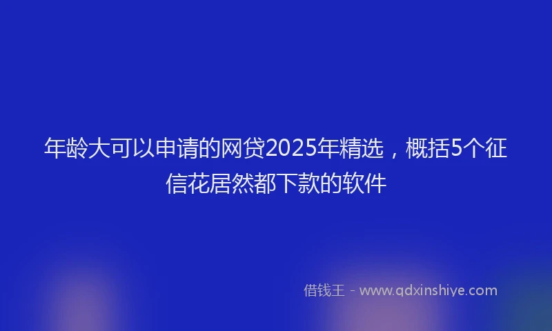年龄大可以申请的网贷2025年精选，概括5个征信花居然都下款的软件
