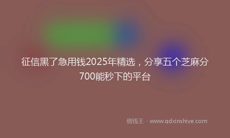 征信黑了急用钱2025年精选，分享五个芝麻分700能秒下的平台