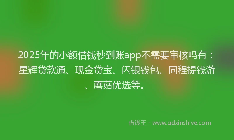 2025年的小额借钱秒到账app不需要审核吗有：星辉贷款通、现金贷宝、闪银钱包、同程提钱游、蘑菇优选等。