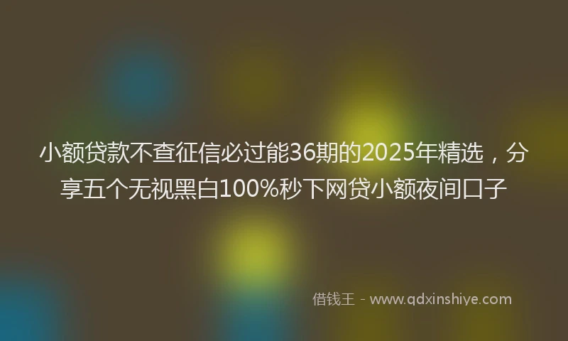 小额贷款不查征信必过能36期的2025年精选，分享五个无视黑白100%秒下网贷小额夜间口子