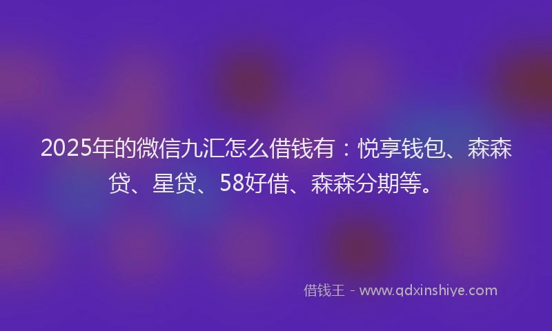 2025年的微信九汇怎么借钱有：悦享钱包、森森贷、星贷、58好借、森森分期等。