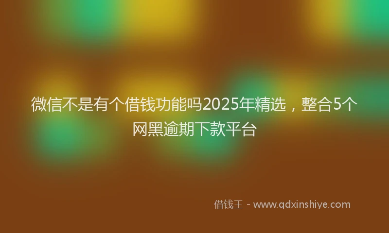 微信不是有个借钱功能吗2025年精选，整合5个网黑逾期下款平台