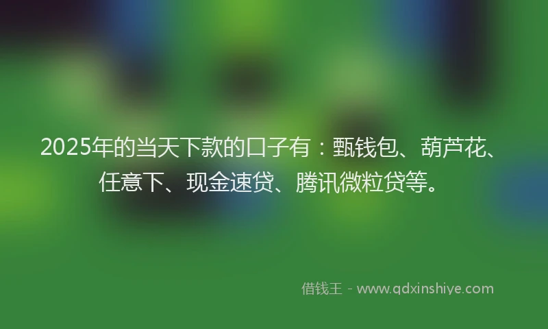 2025年的当天下款的口子有：甄钱包、葫芦花、任意下、现金速贷、腾讯微粒贷等。