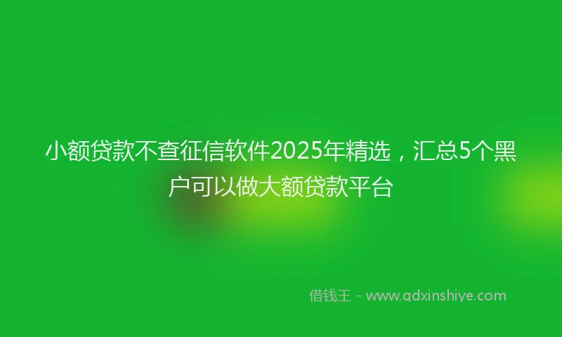 小额贷款不查征信软件2025年精选，汇总5个黑户可以做大额贷款平台