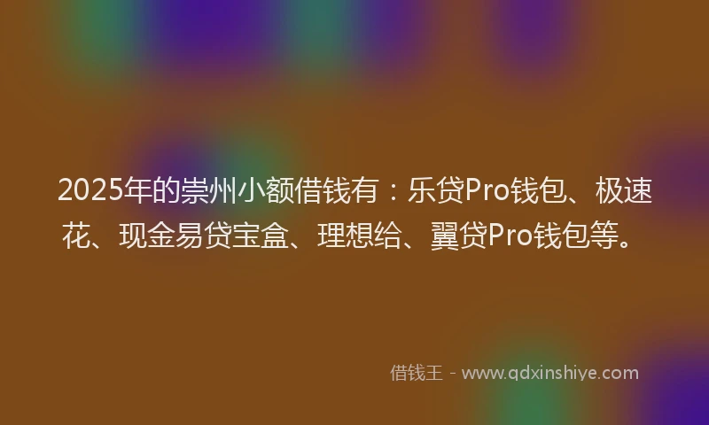 2025年的崇州小额借钱有：乐贷Pro钱包、极速花、现金易贷宝盒、理想给、翼贷Pro钱包等。
