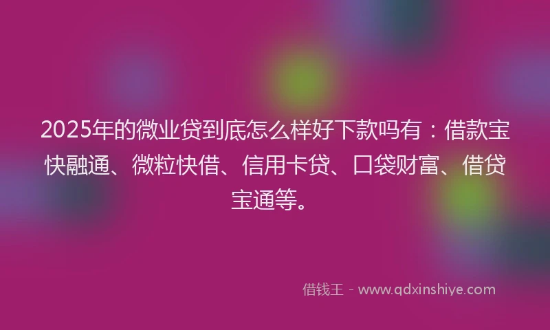 2025年的微业贷到底怎么样好下款吗有：借款宝快融通、微粒快借、信用卡贷、口袋财富、借贷宝通等。