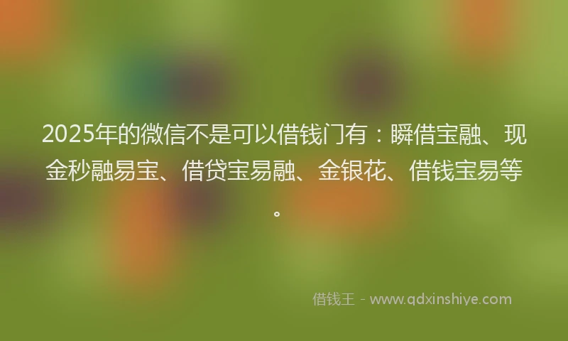 2025年的微信不是可以借钱门有：瞬借宝融、现金秒融易宝、借贷宝易融、金银花、借钱宝易等。