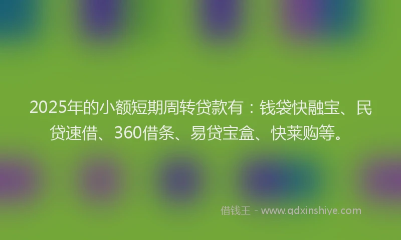 2025年的小额短期周转贷款有：钱袋快融宝、民贷速借、360借条、易贷宝盒、快莱购等。