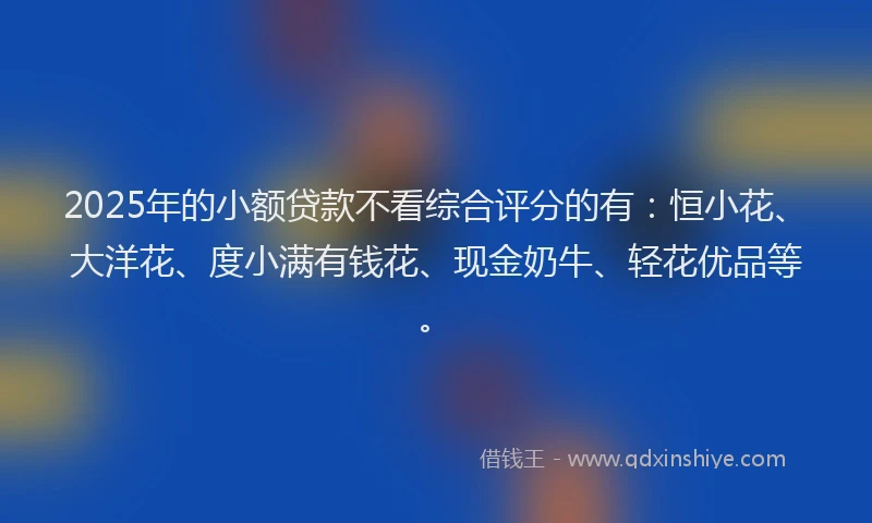 2025年的小额贷款不看综合评分的有：恒小花、大洋花、度小满有钱花、现金奶牛、轻花优品等。