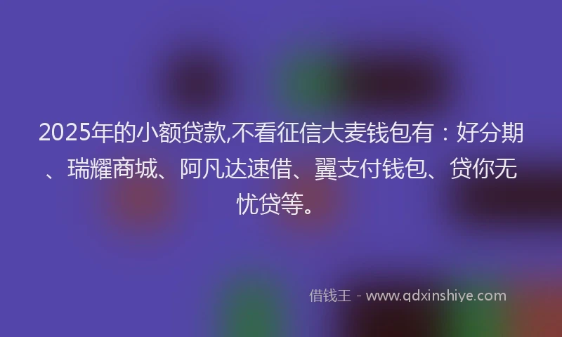 2025年的小额贷款,不看征信大麦钱包有：好分期、瑞耀商城、阿凡达速借、翼支付钱包、贷你无忧贷等。