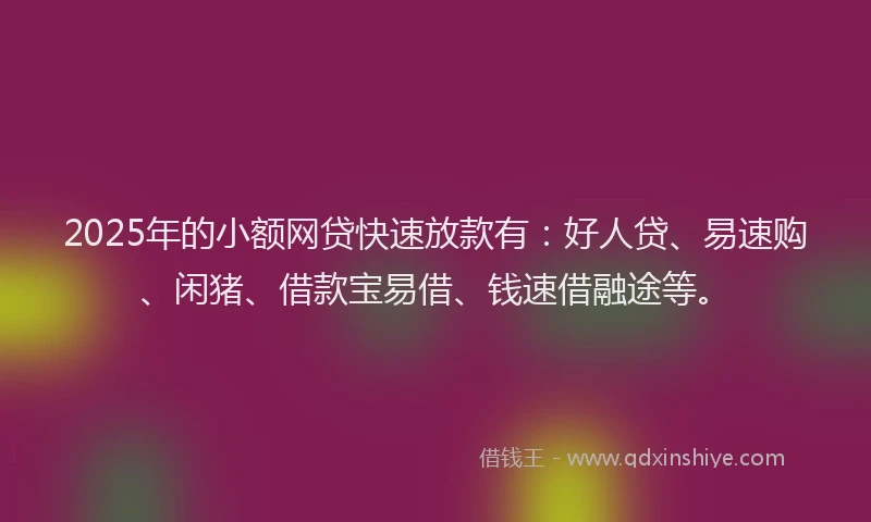 2025年的小额网贷快速放款有：好人贷、易速购、闲猪、借款宝易借、钱速借融途等。