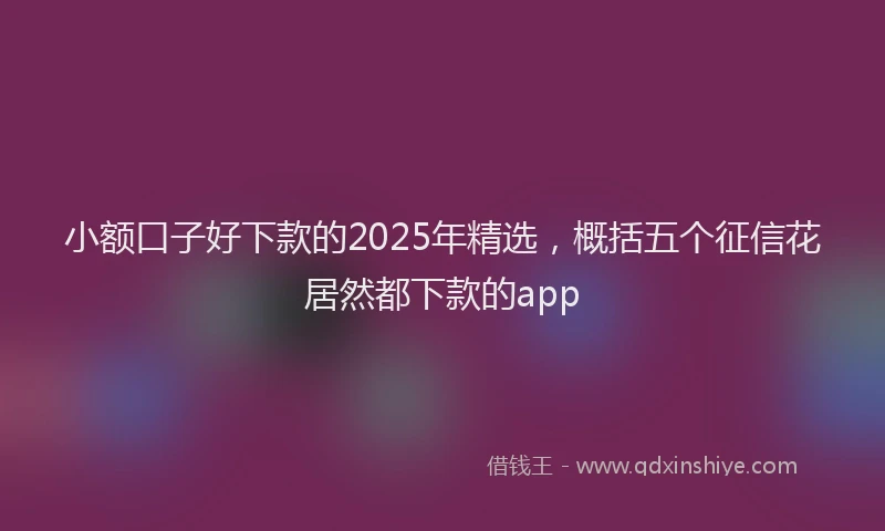 小额口子好下款的2025年精选，概括五个征信花居然都下款的app