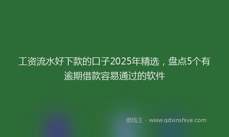 工资流水好下款的口子2025年精选，盘点5个有逾期借款容易通过的软件