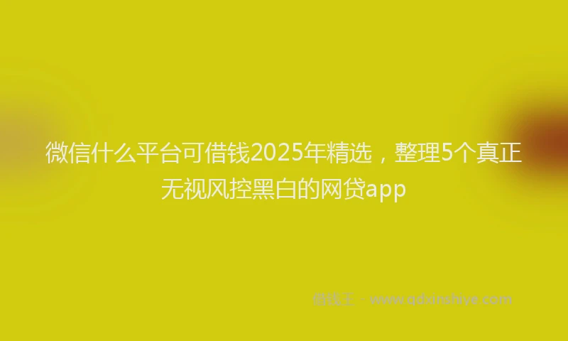 微信什么平台可借钱2025年精选，整理5个真正无视风控黑白的网贷app