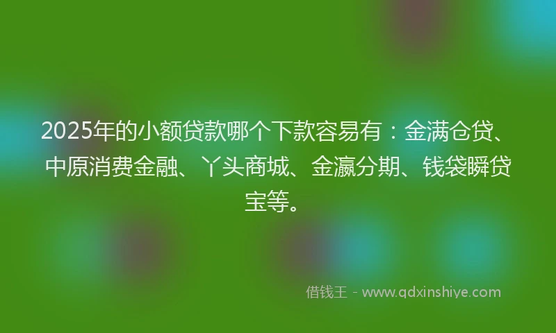 2025年的小额贷款哪个下款容易有：金满仓贷、中原消费金融、丫头商城、金瀛分期、钱袋瞬贷宝等。