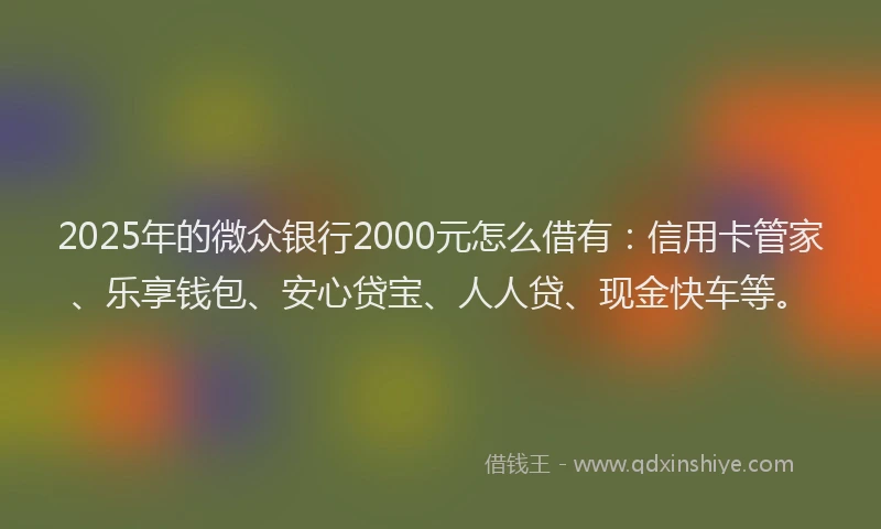 2025年的微众银行2000元怎么借有：信用卡管家、乐享钱包、安心贷宝、人人贷、现金快车等。