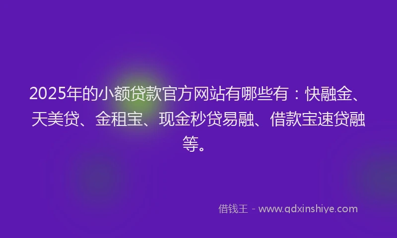 2025年的小额贷款官方网站有哪些有：快融金、天美贷、金租宝、现金秒贷易融、借款宝速贷融等。