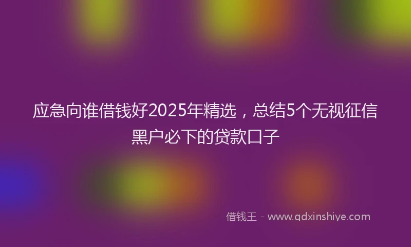应急向谁借钱好2025年精选，总结5个无视征信黑户必下的贷款口子