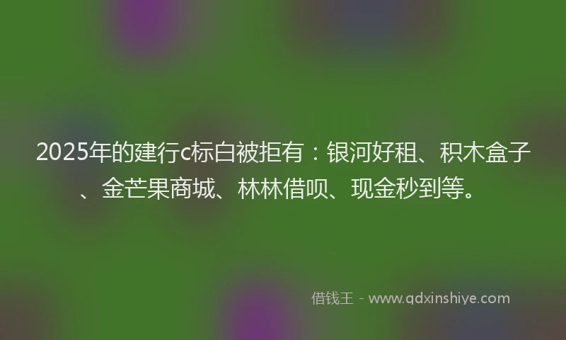 2025年的建行c标白被拒有：银河好租、积木盒子、金芒果商城、林林借呗、现金秒到等。