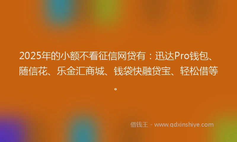 2025年的小额不看征信网贷有：迅达Pro钱包、随信花、乐金汇商城、钱袋快融贷宝、轻松借等。