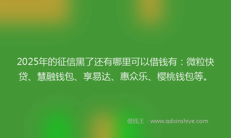 2025年的征信黑了还有哪里可以借钱有：微粒快贷、慧融钱包、享易达、惠众乐、樱桃钱包等。