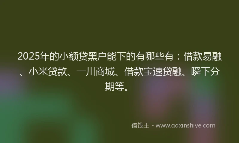 2025年的小额贷黑户能下的有哪些有：借款易融、小米贷款、一川商城、借款宝速贷融、瞬下分期等。