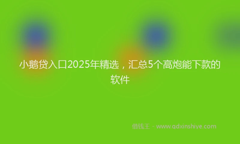 小鹅贷入口2025年精选，汇总5个高炮能下款的软件
