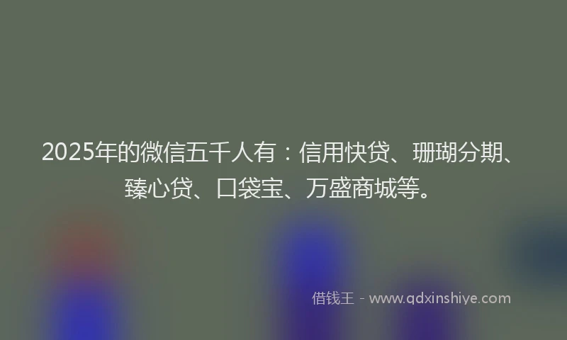 2025年的微信五千人有：信用快贷、珊瑚分期、臻心贷、口袋宝、万盛商城等。