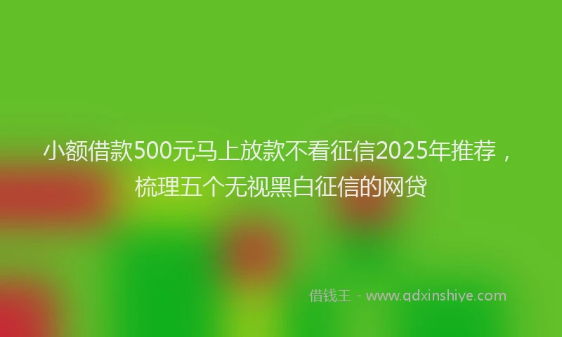 小额借款500元马上放款不看征信2025年推荐，梳理五个无视黑白征信的网贷