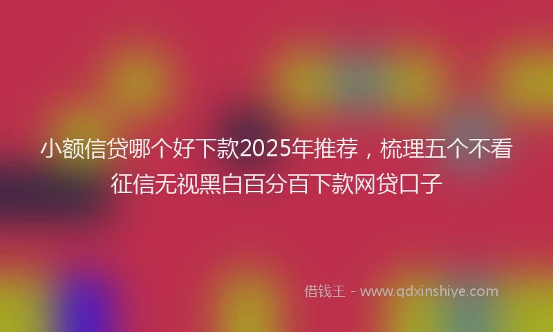 小额信贷哪个好下款2025年推荐，梳理五个不看征信无视黑白百分百下款网贷口子