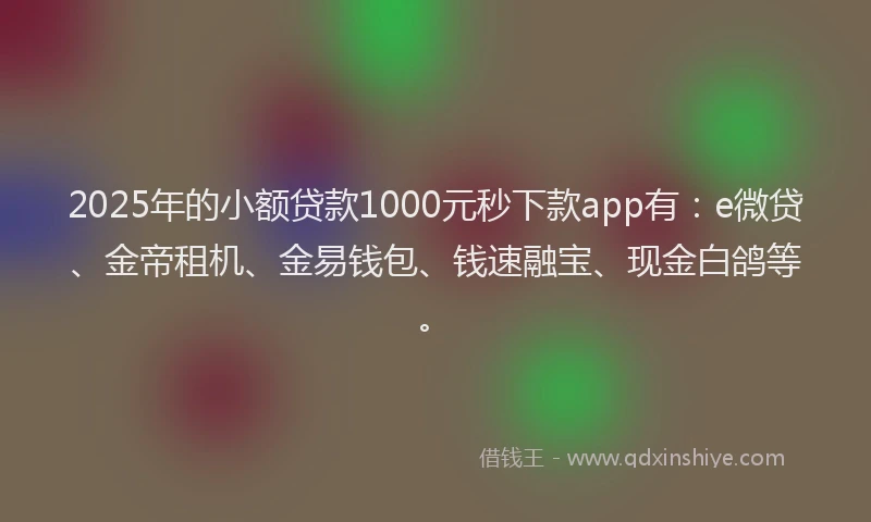 2025年的小额贷款1000元秒下款app有：e微贷、金帝租机、金易钱包、钱速融宝、现金白鸽等。
