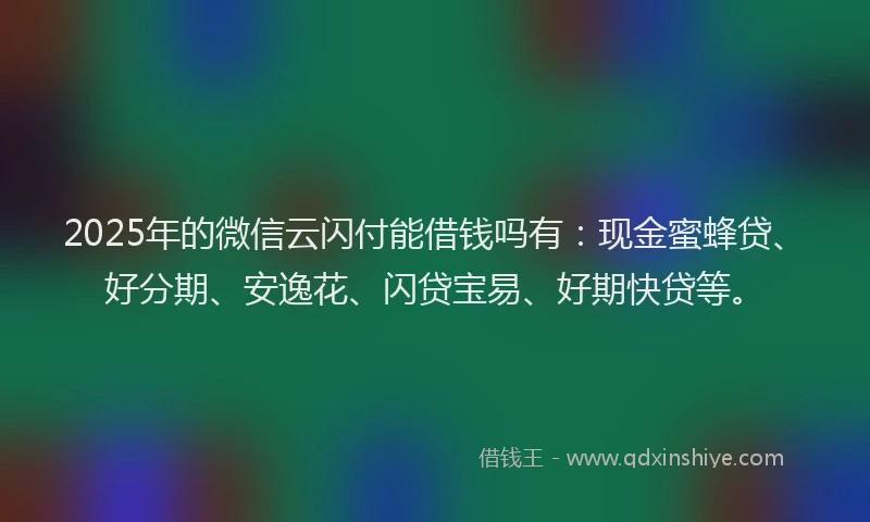 2025年的微信云闪付能借钱吗有：现金蜜蜂贷、好分期、安逸花、闪贷宝易、好期快贷等。
