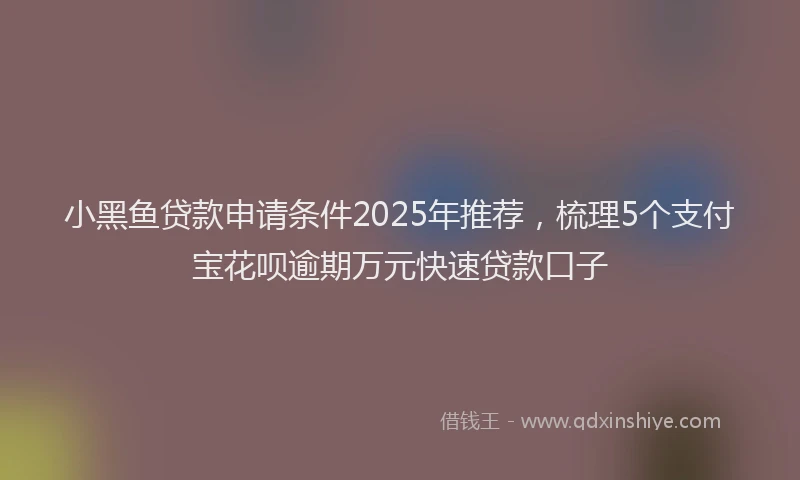 小黑鱼贷款申请条件2025年推荐，梳理5个支付宝花呗逾期万元快速贷款口子