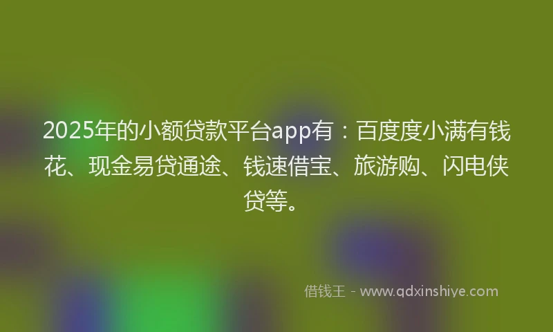 2025年的小额贷款平台app有：百度度小满有钱花、现金易贷通途、钱速借宝、旅游购、闪电侠贷等。