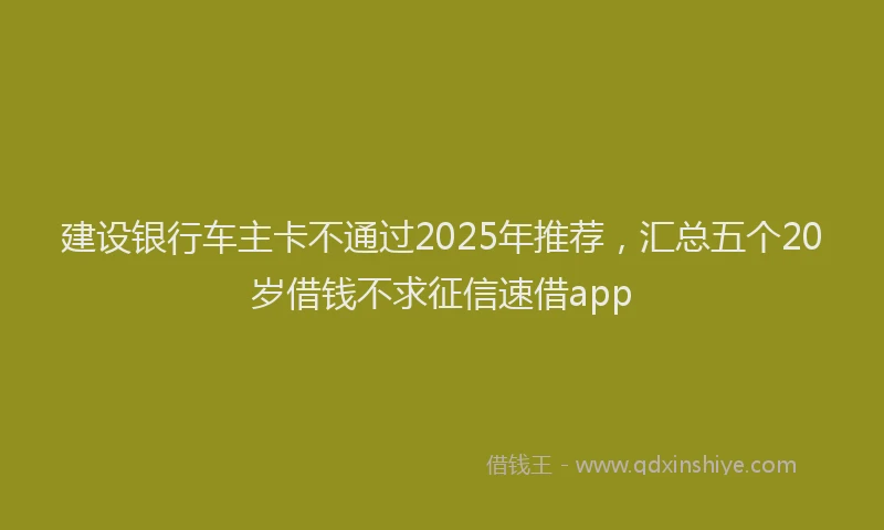 建设银行车主卡不通过2025年推荐，汇总五个20岁借钱不求征信速借app