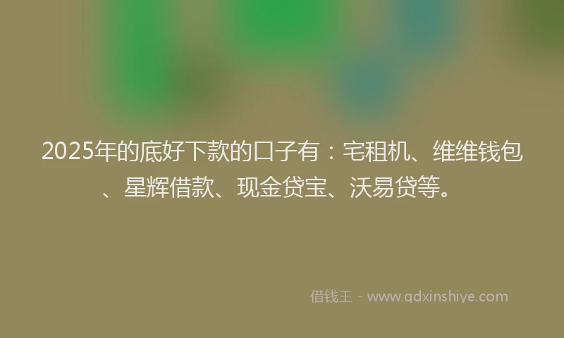 2025年的底好下款的口子有：宅租机、维维钱包、星辉借款、现金贷宝、沃易贷等。