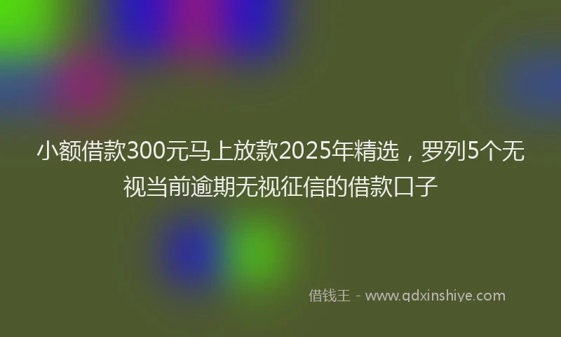 小额借款300元马上放款2025年精选，罗列5个无视当前逾期无视征信的借款口子