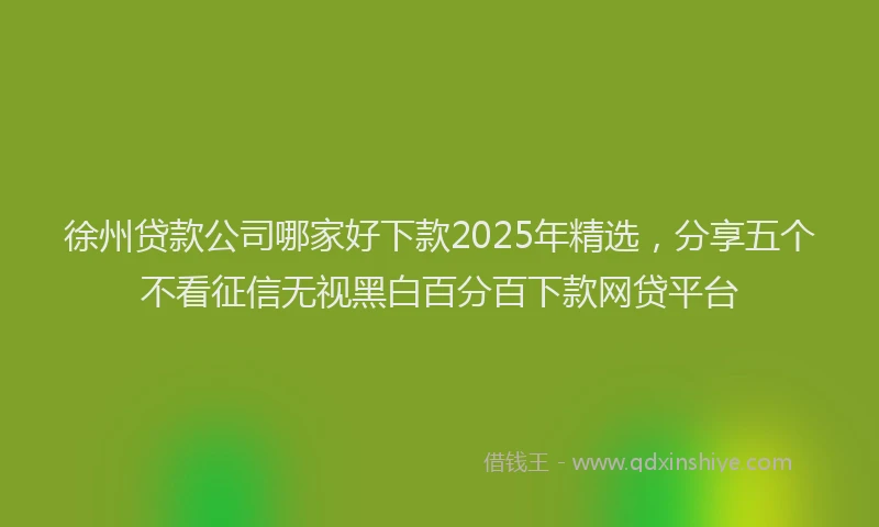 徐州贷款公司哪家好下款2025年精选，分享五个不看征信无视黑白百分百下款网贷平台