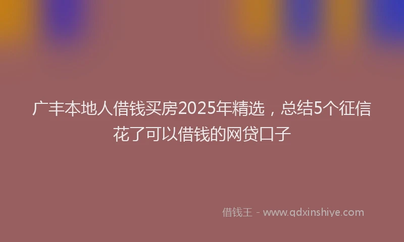 广丰本地人借钱买房2025年精选，总结5个征信花了可以借钱的网贷口子