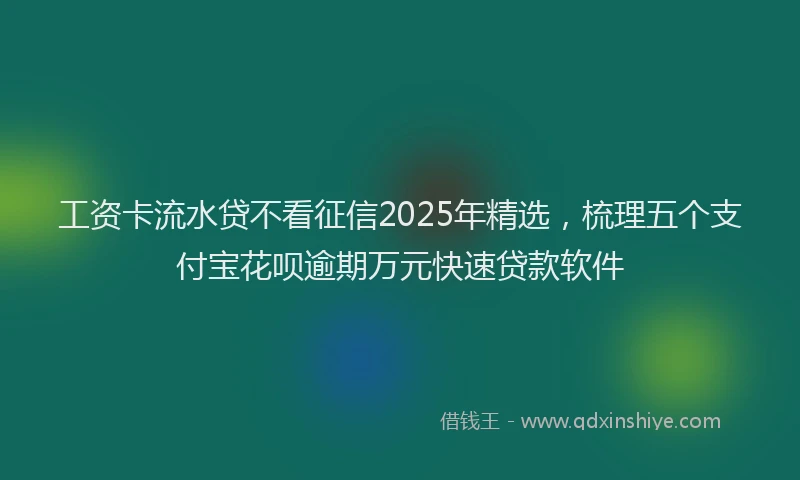工资卡流水贷不看征信2025年精选，梳理五个支付宝花呗逾期万元快速贷款软件